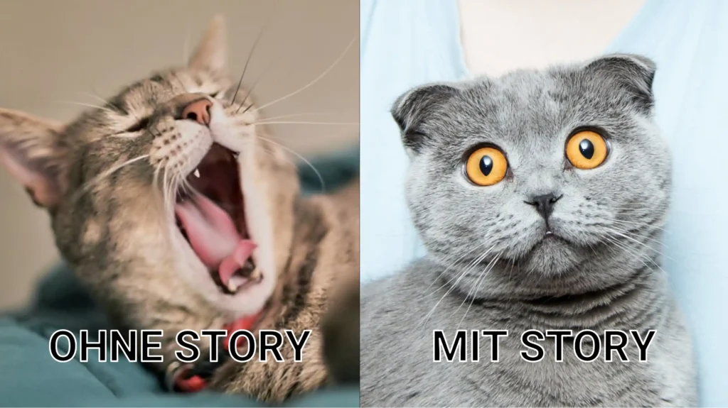 Der Effekt von Storytelling auf ein Publikum, 2 Katzen, eine Katze schaut erstaunt